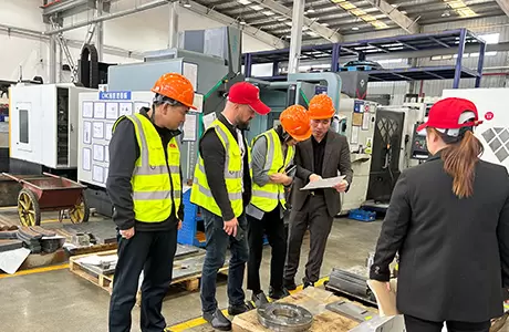 VEM-i kohapealne audit